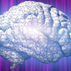 Illustration for article titled Don't Waste Your Money on "Brain Training" Schemes